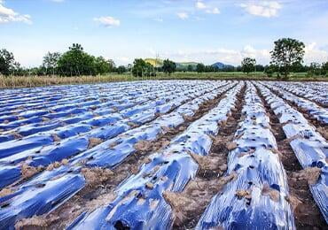 Food and Agriculture Organization of the United Nations Releases "Assessment of Plastics in Agriculture and Their Sustainability: A Call to Action" Report
